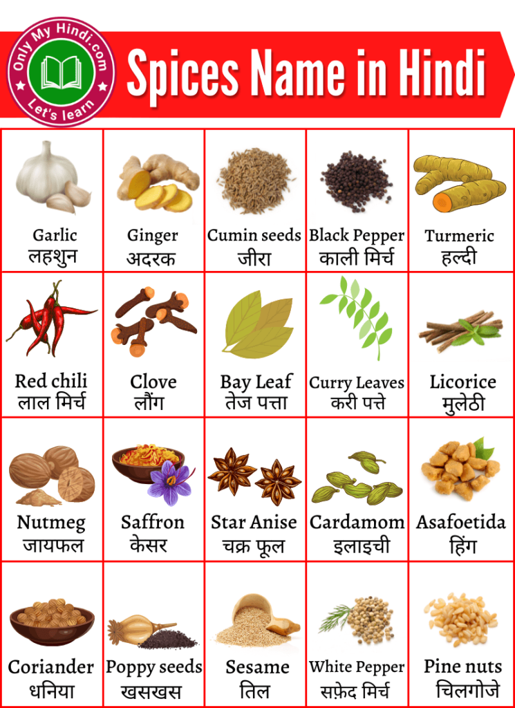 Masalo Ke Naamमसालों के नाम हिंदी और इंग्लिश में All Spices Name