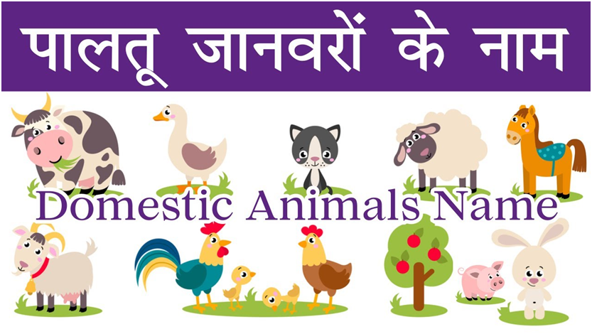 Five Domestic Animals Name In Hindi