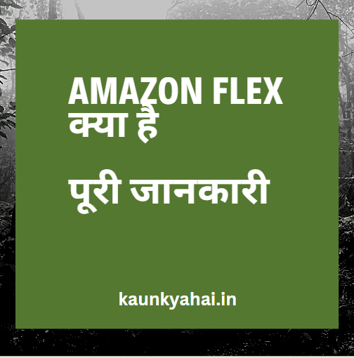 Amazon Flex Kya Hai