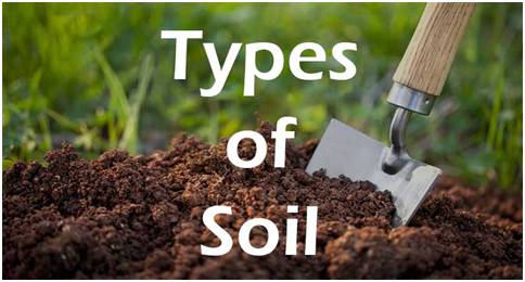 Type of Soil Name 